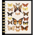 Papillon - BIG Happy Planner - Daily - 4 month
