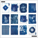Cyanotype - Classic Frosted Dashboard Happy Planner - 12 Months