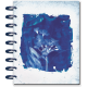 Cyanotype - Classic Frosted Dashboard Happy Planner - 12 Months