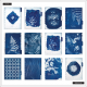 Cyanotype - Big Monthly Happy Planner - 12 Months