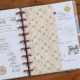 Homesteader Envelope 3 Pack