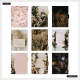 Moody Florals Big 18 Month Planner