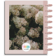Moody Florals - Classic Vertical 18 Month Planner