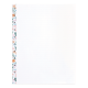 Cottagecore Florals - Dotted Lined Big Fill Paper